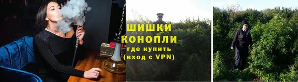 spice Белокуриха