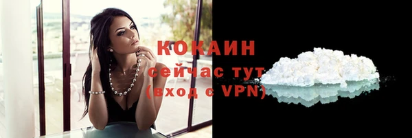 spice Белокуриха