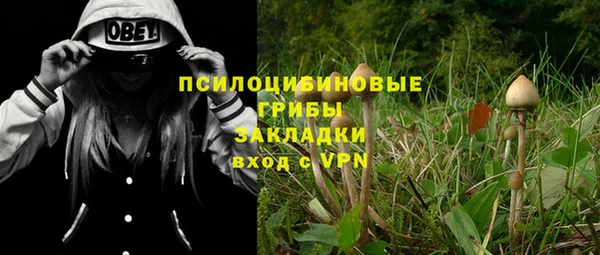 гашик Белоозёрский