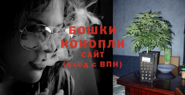 spice Белокуриха