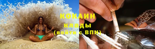 гашик Белоозёрский