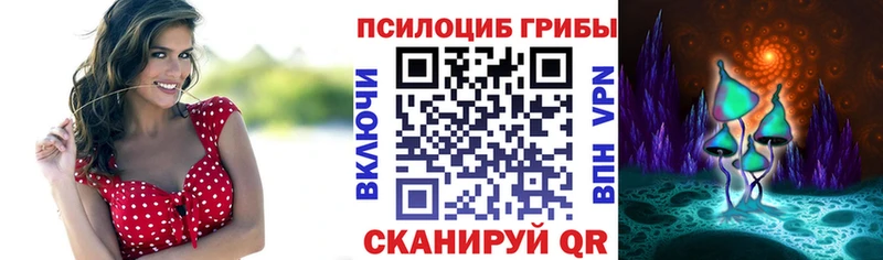 Псилоцибиновые грибы GOLDEN TEACHER  Ершов 