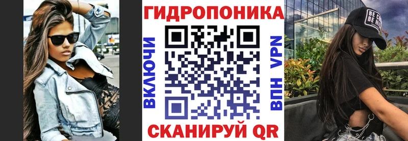 Бошки Шишки ГИДРОПОН  закладка  Ершов 